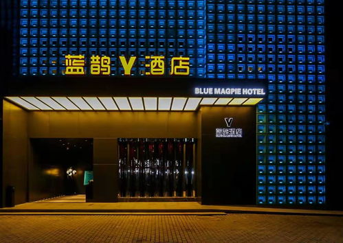 蓝鹊酒店专项调研 协会精准定制发展良策